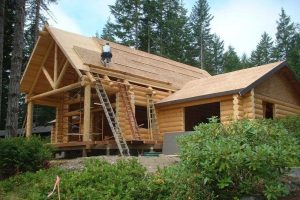 Cabin Roof Construction
