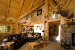 interior cabin living room
