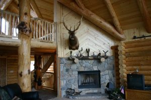 interior cabin fireplace with moose